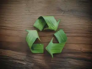 Bamboos-Role-in-a-Circular-World-and-Waste-Management